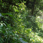 Edgar Santiago Chavez Castillo